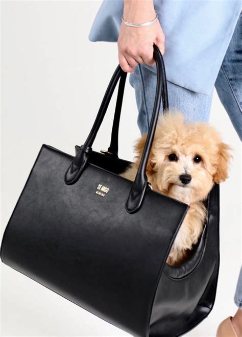 designer dog carrying bag